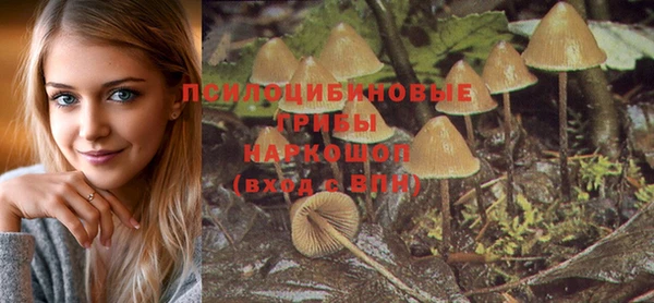 мяу мяу мука Абинск