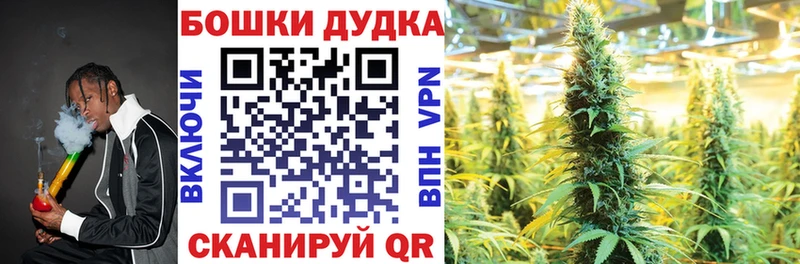 blacksprut сайт Новотитаровская Шишки марихуана Amnesia